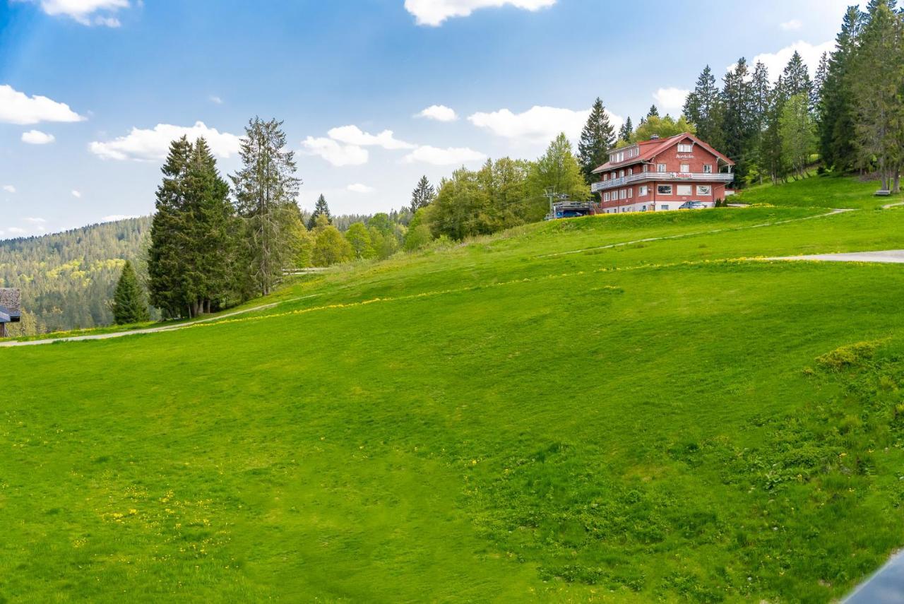 Apartament Auerhuhn Feldberg  Zewnętrze zdjęcie