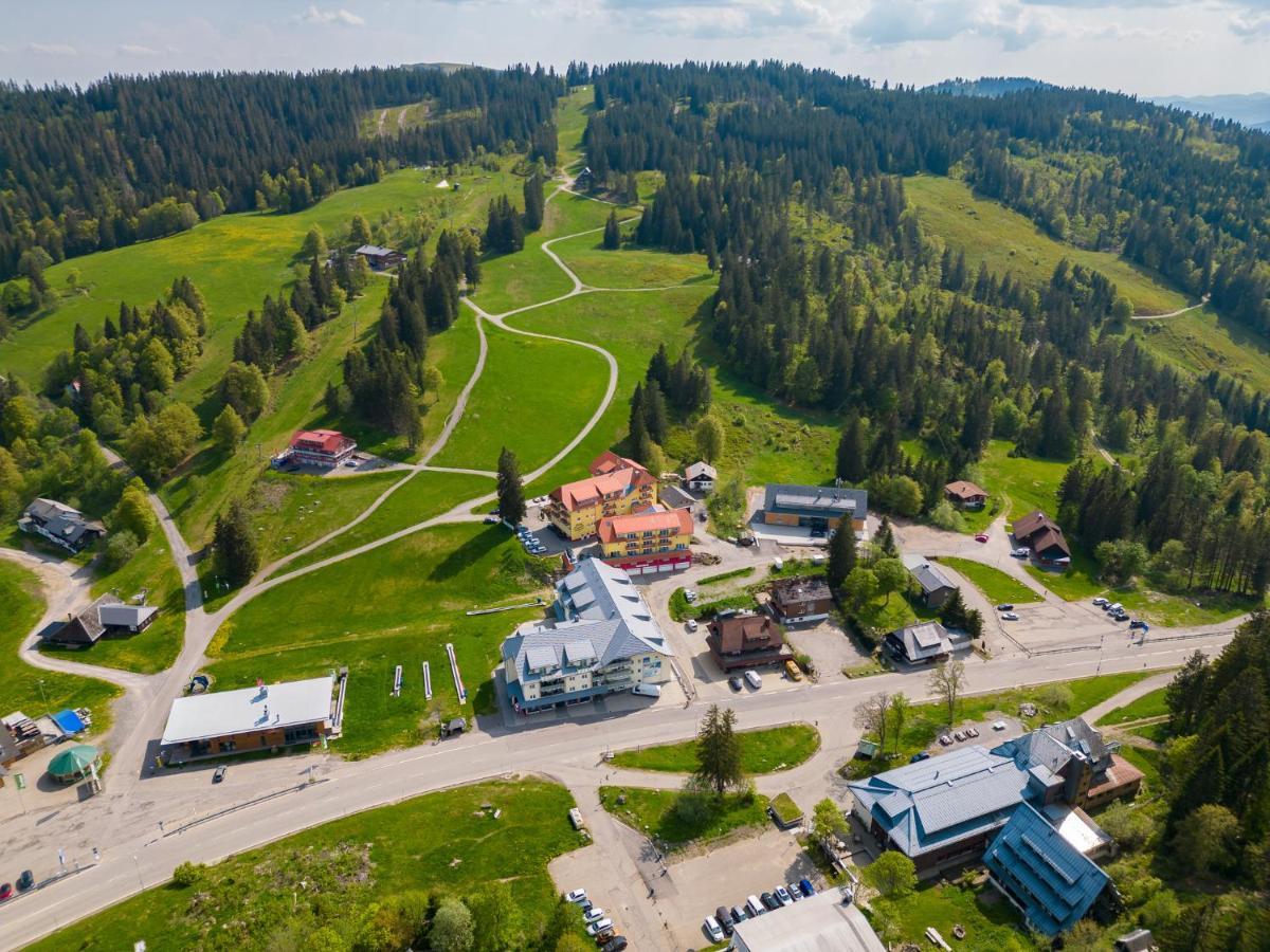 Apartament Auerhuhn Feldberg  Zewnętrze zdjęcie